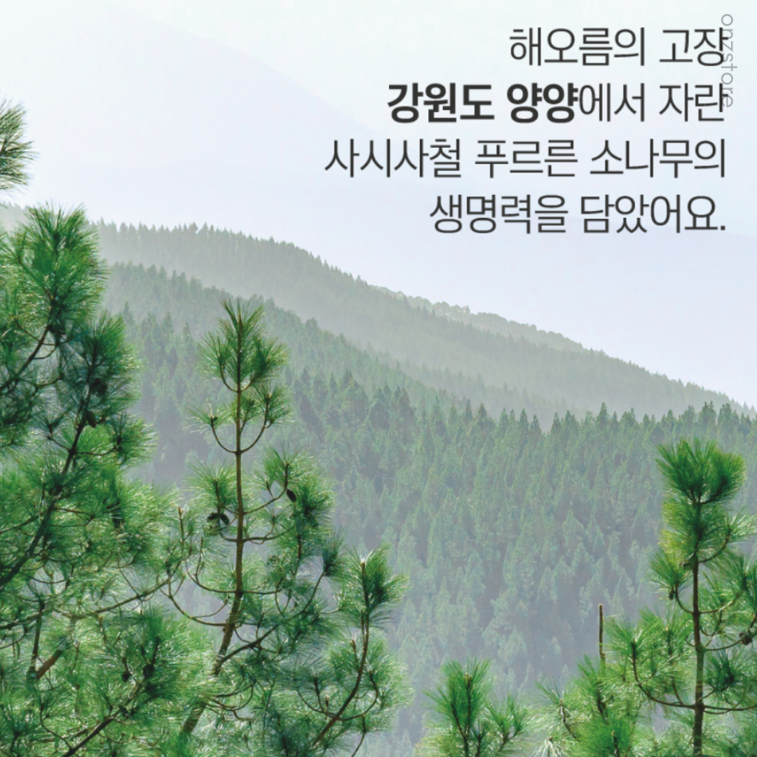 ★Roundlab★ Pine Cica Calming Ampoule