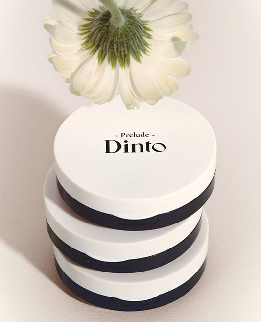 [Daiso]【Dinto】Blur-Radiance Cushion