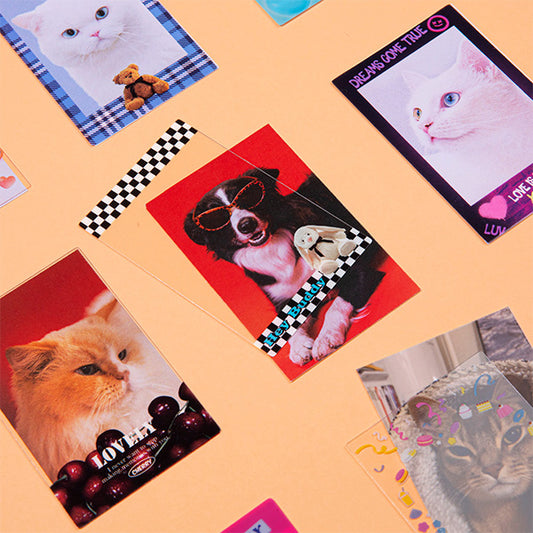 ★Daiso★ Photocard Frame