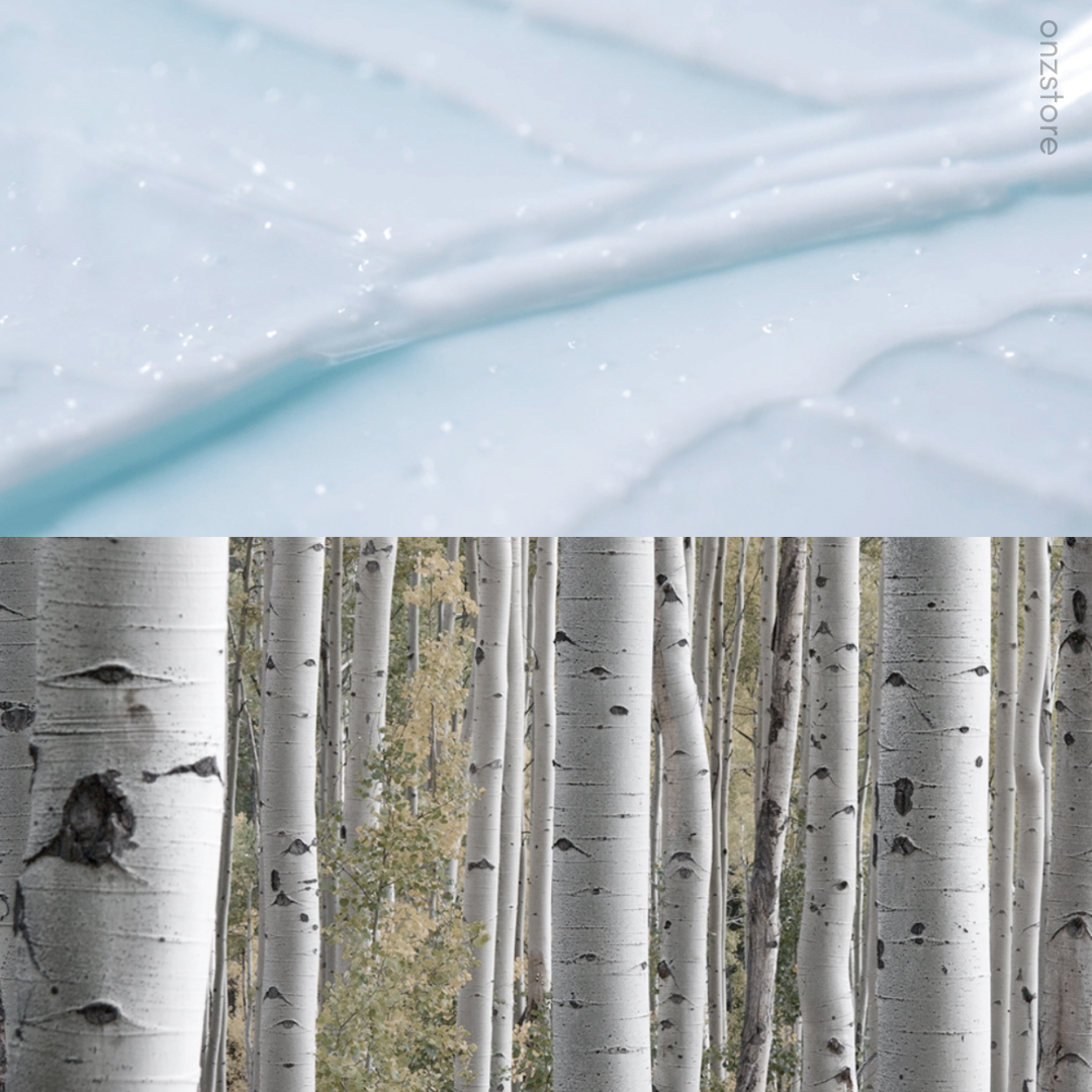 ★Roundlab★ Birch Juice Moisturizing Cream
